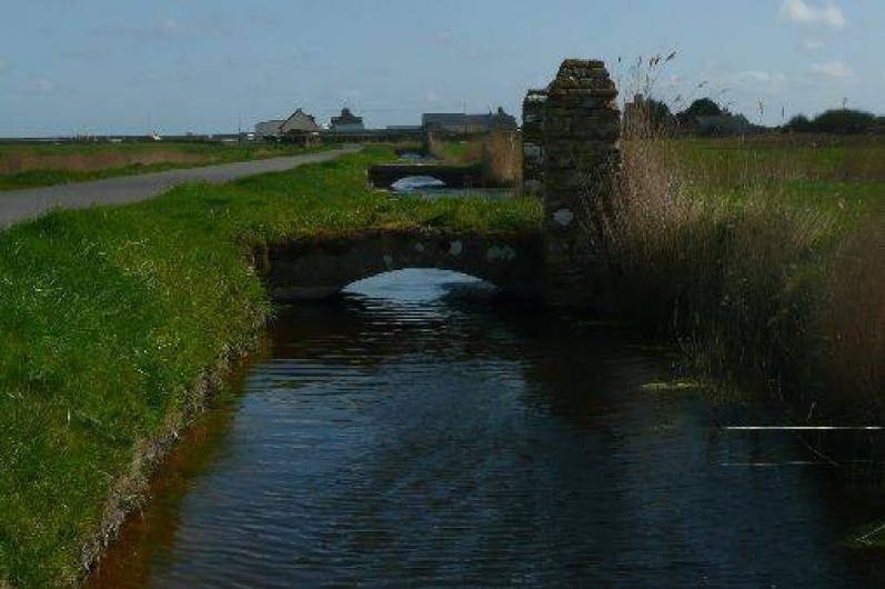 Location de vacances - Camping à Ravenoville