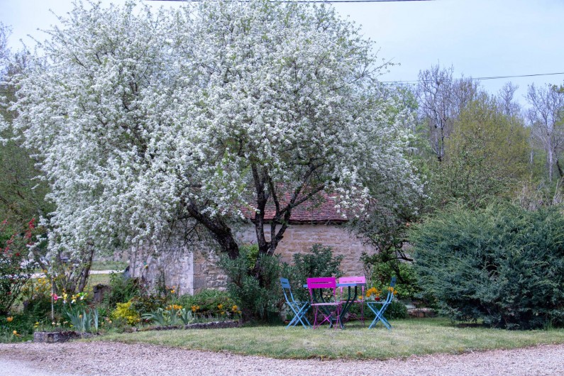 Location de vacances - Chambre d'hôtes à Gigny - Vue sur cour