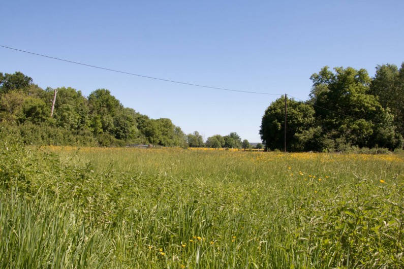 Location de vacances - Chambre d'hôtes à Gigny - Vue sur la campagne