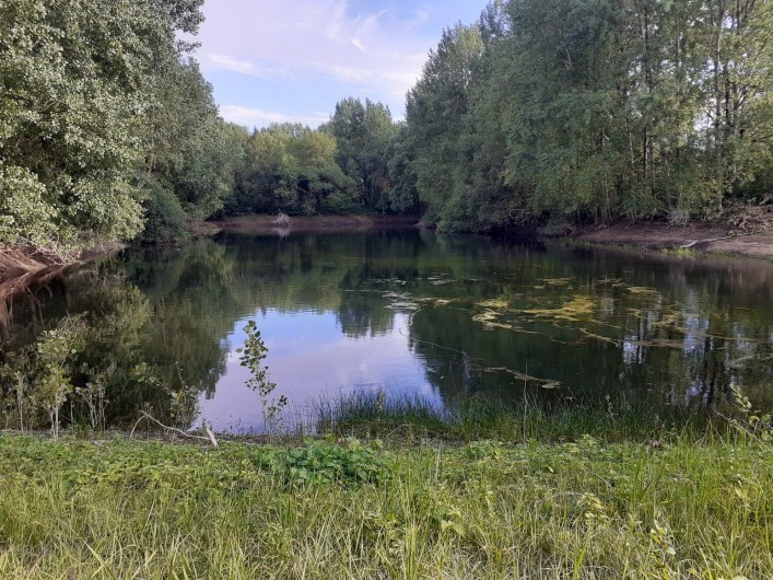 Location de vacances - Bungalow - Mobilhome à Camiers - Lac