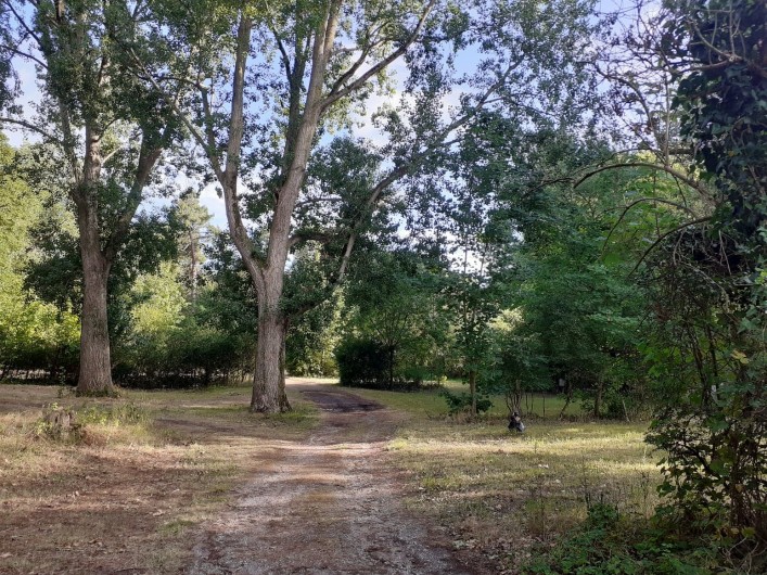 Location de vacances - Bungalow - Mobilhome à Camiers - Ballade dans le camping