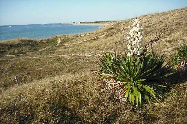 Location de vacances - Villa à Saint-Georges-d'Oléron