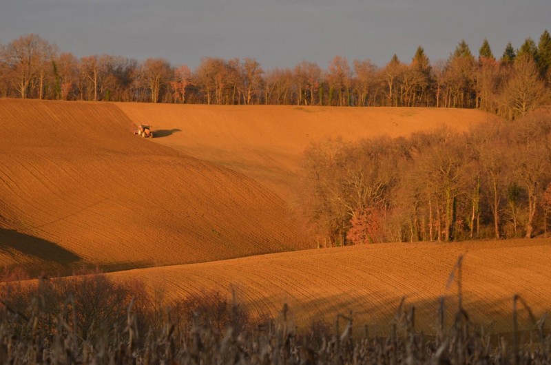 Location de vacances - Gîte à Dému - Alentours
