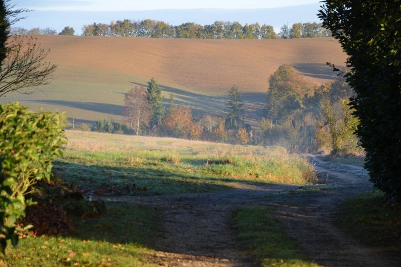 Location de vacances - Gîte à Dému - Alentours
