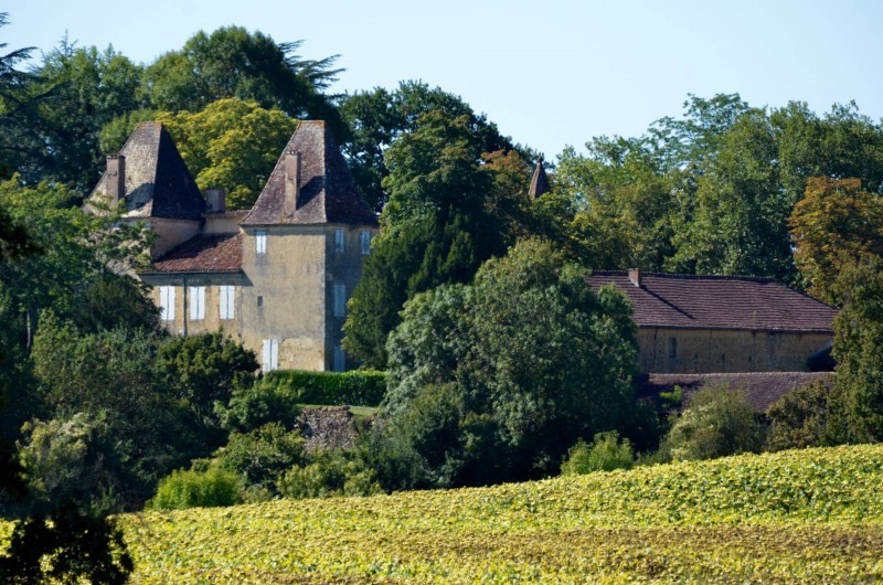 Location de vacances - Gîte à Dému - Château de d'Artagnan, Lupiac