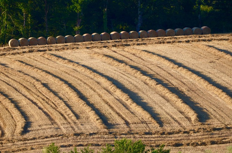 Location de vacances - Gîte à Dému - Alentours