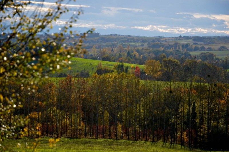 Location de vacances - Gîte à Dému - Alentours