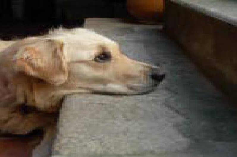 Location de vacances - Chambre d'hôtes à Chomérac