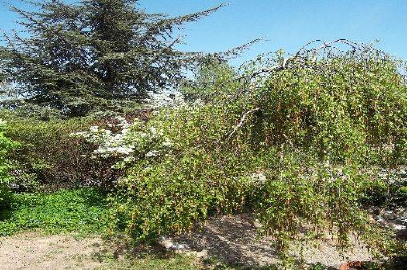 Location de vacances - Villa à Wolxheim