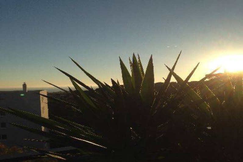 Location de vacances - Appartement à Bandol