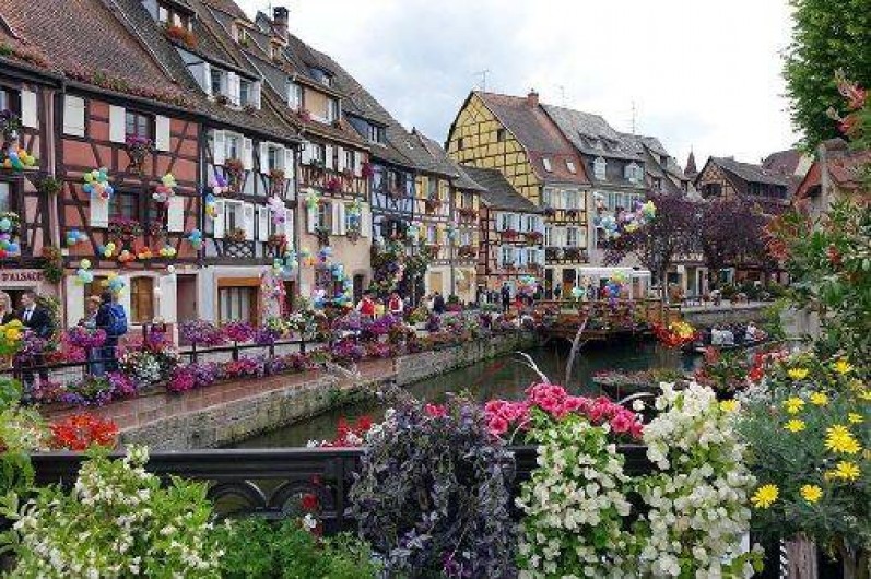 Location de vacances - Chalet à Metzeral