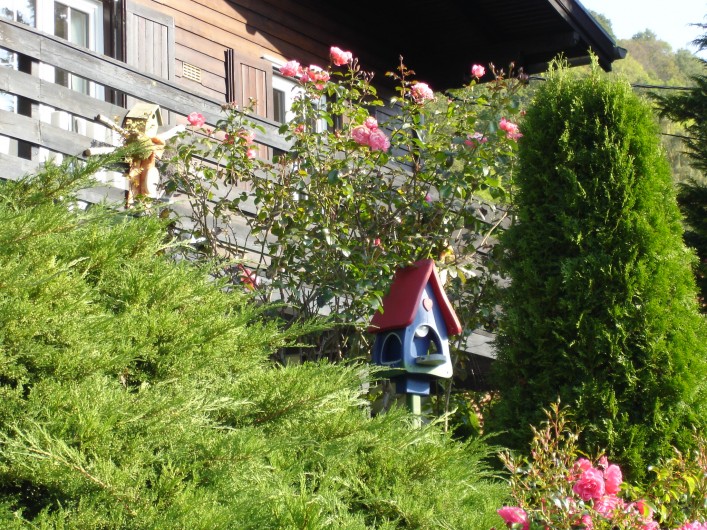 Location de vacances - Chalet à Metzeral