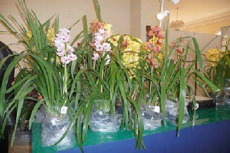 Location de vacances - Studio à Menton