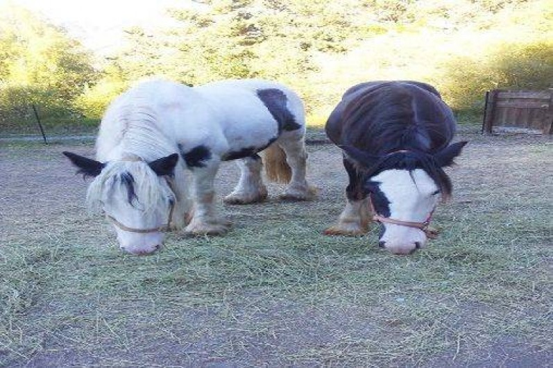 Location de vacances - Gîte à Seyne