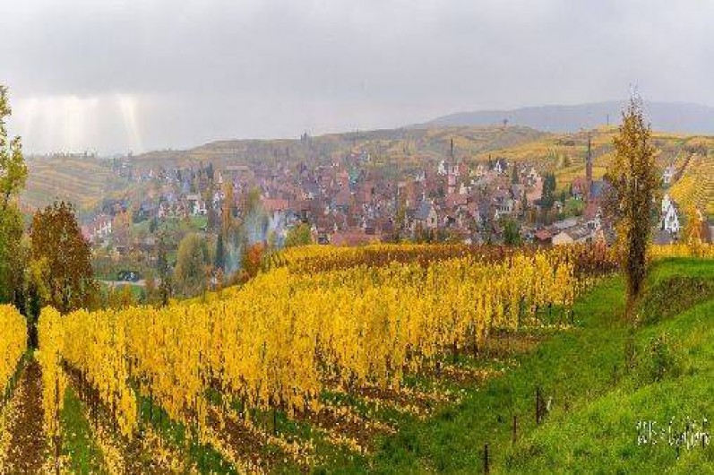 Location de vacances - Gîte à Balbronn