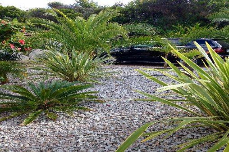 Location de vacances - Villa à Pietrosella - jardin