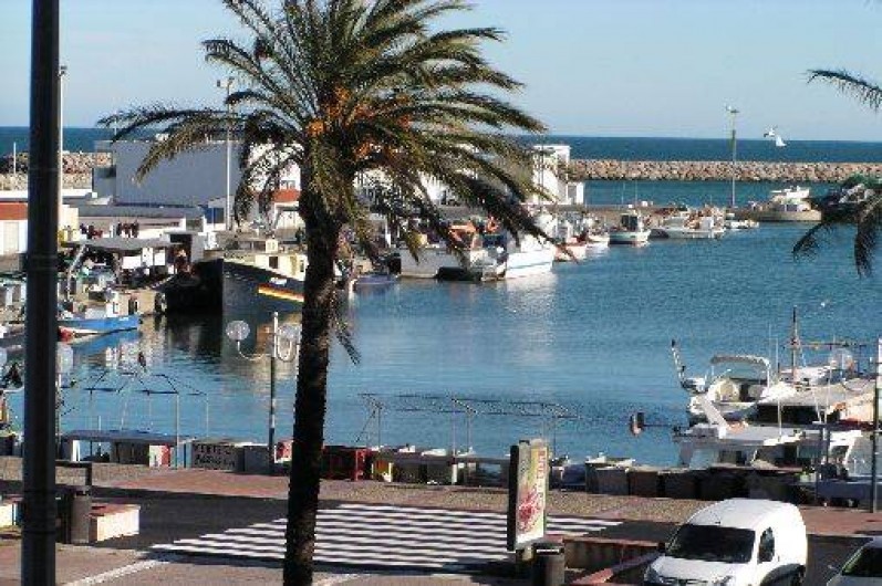 Location de vacances - Studio à Saint-Cyprien