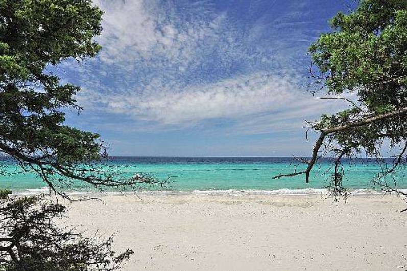 Location de vacances - Maison - Villa à Calcatoggio