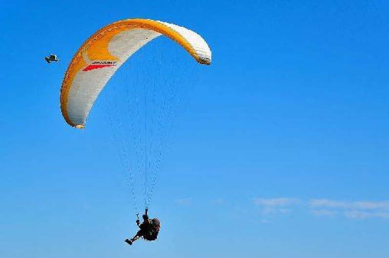 Location de vacances - Maison - Villa à Calcatoggio