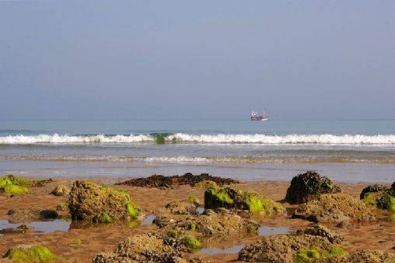 Location de vacances - Gîte à Saint-Alban