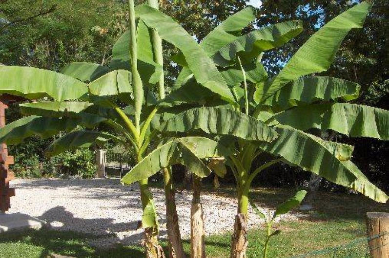 Location de vacances - Chalet à Le Tartre