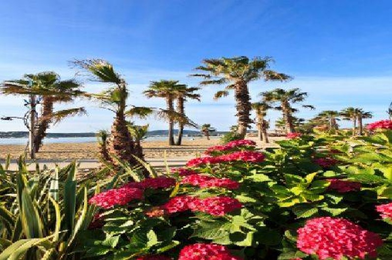 Location de vacances - Bungalow - Mobilhome à Grimaud