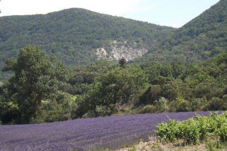 Location de vacances - Appartement à Roche-Saint-Secret-Béconne