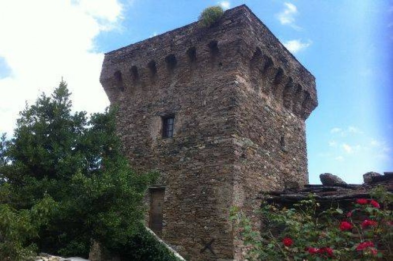Location de vacances - Château - Manoir à Sisco
