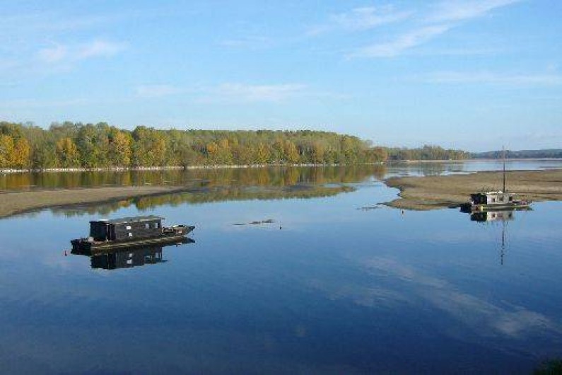 Location de vacances - Studio à Saint-Aubin-de-Luigné - La Loire à deux pas