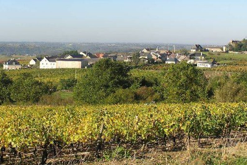 Location de vacances - Studio à Saint-Aubin-de-Luigné - Le hameau des Barres depuis le vignoble