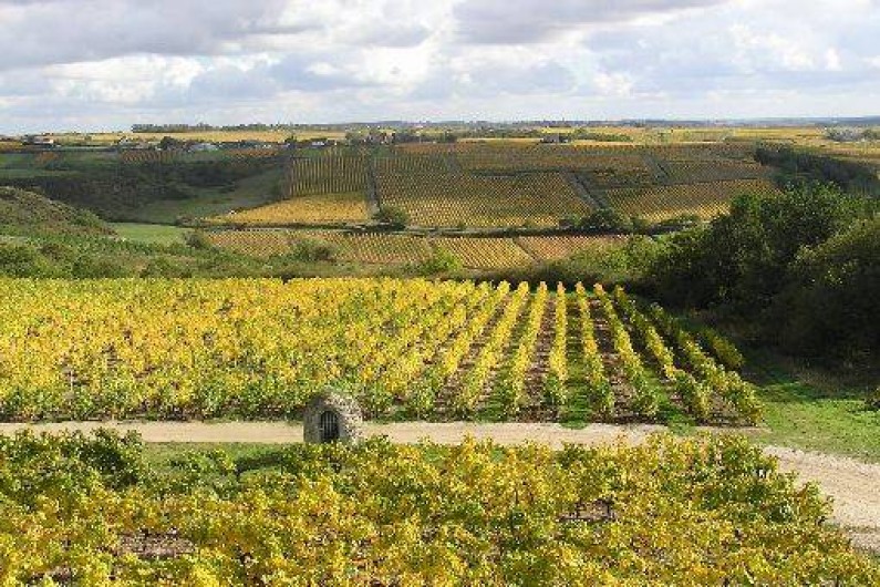 Location de vacances - Studio à Saint-Aubin-de-Luigné - Panorama