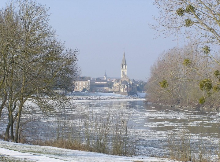 Location de vacances - Studio à Saint-Aubin-de-Luigné - Chalonnes sur Loire