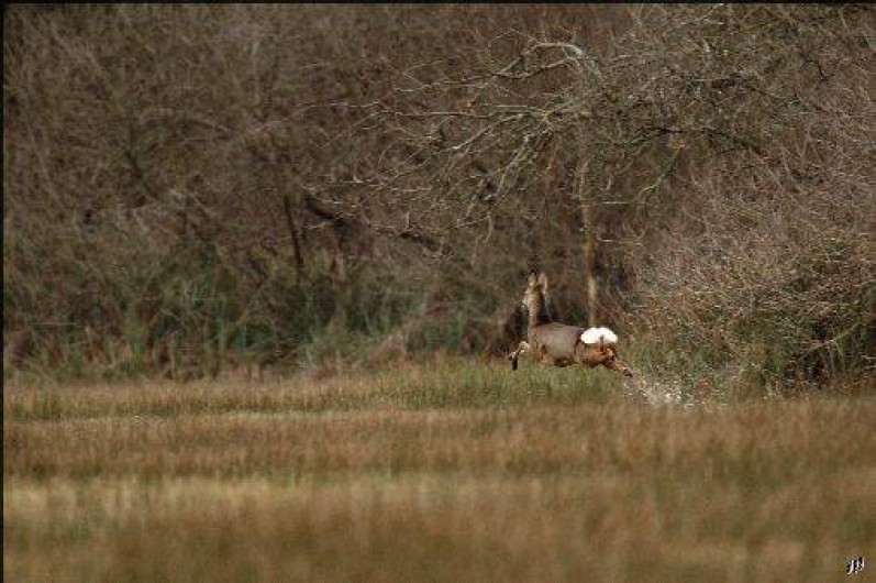 Location de vacances - Appartement à Périers