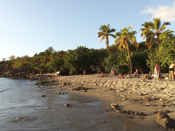 Location de vacances - Gîte à Bouillante