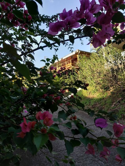 Location de vacances - Gîte à Bouillante