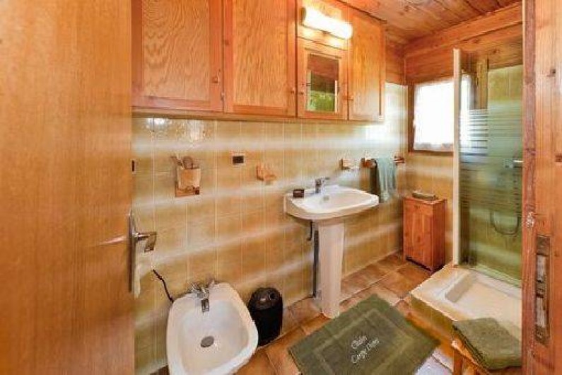 Location de vacances - Chalet à La Bâtie-Neuve