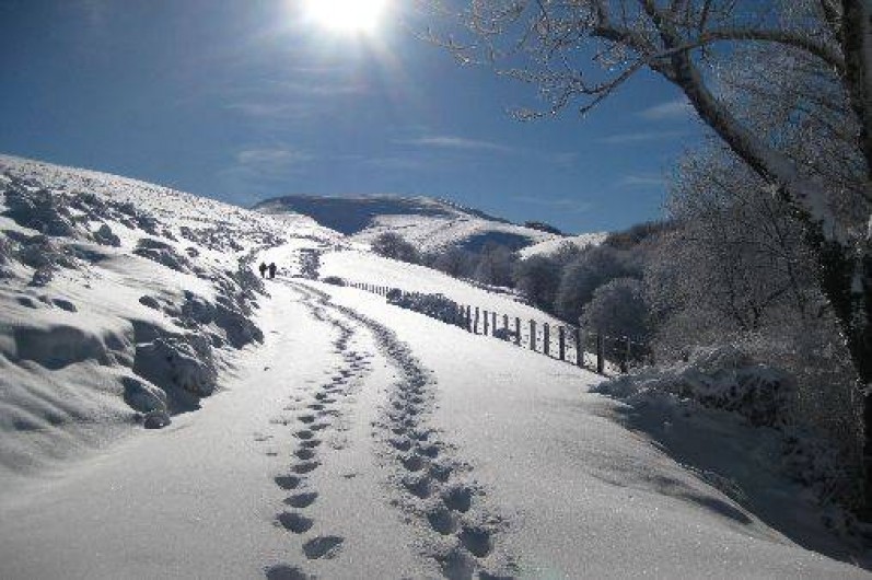 Location de vacances - Studio à Anglet