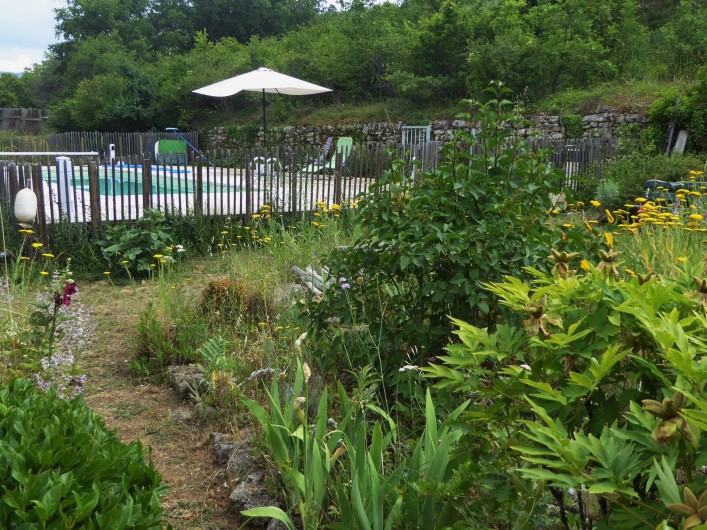 Location de vacances - Villa à Saignon - piscine vue de la terrasse
