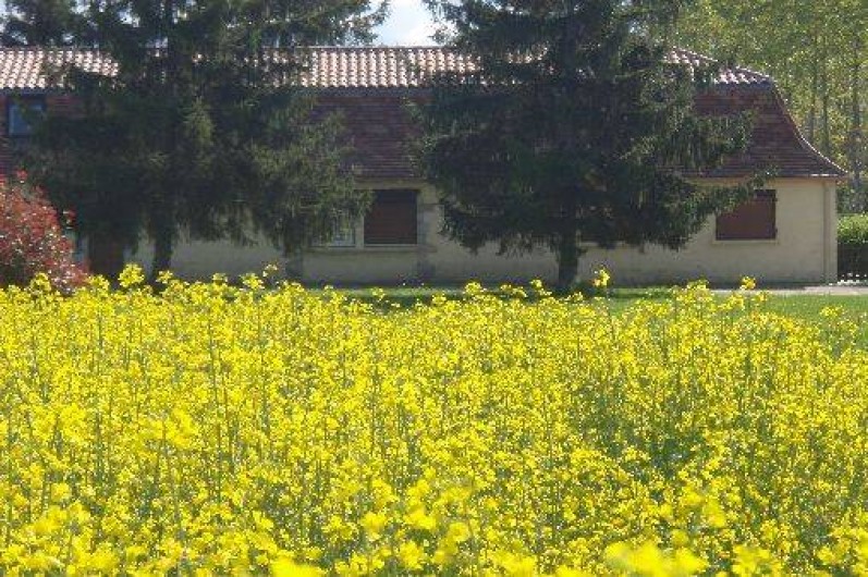Location de vacances - Gîte à Villeréal