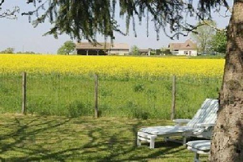 Location de vacances - Gîte à Villeréal