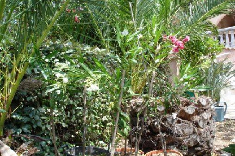 Location de vacances - Villa à Les Issambres