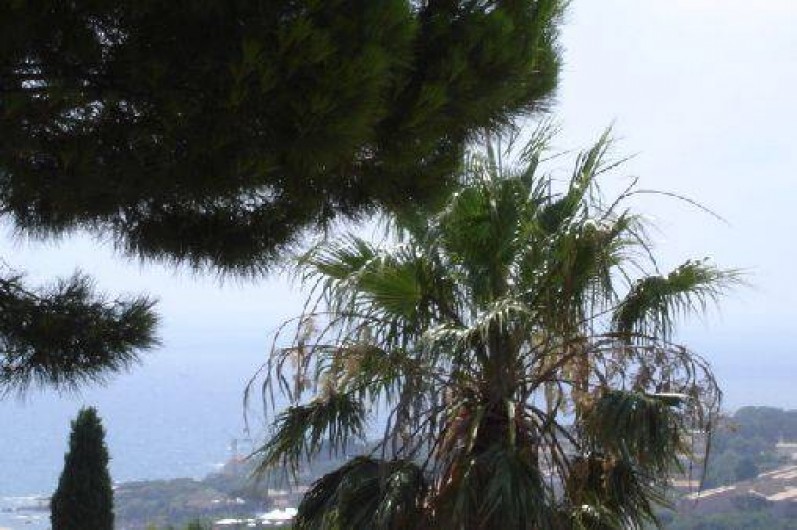 Location de vacances - Villa à Les Issambres