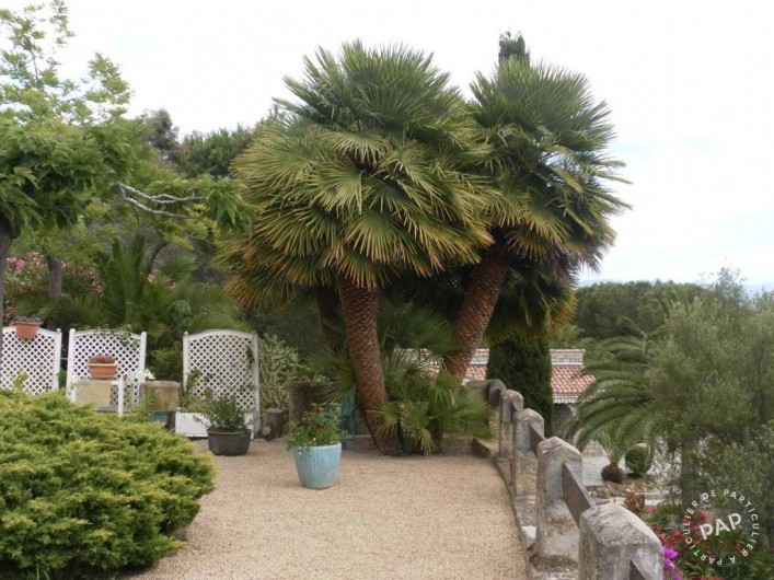 Location de vacances - Appartement à Olmeto