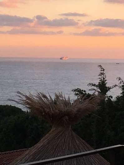 Location de vacances - Appartement à Olmeto