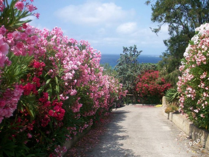 Location de vacances - Appartement à Olmeto