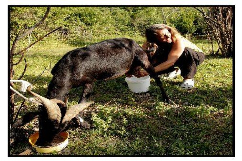 Location de vacances - Chalet à La Roche-sur-le-Buis