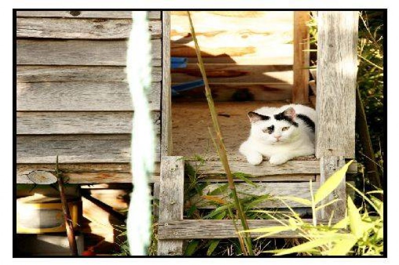 Location de vacances - Chalet à La Roche-sur-le-Buis