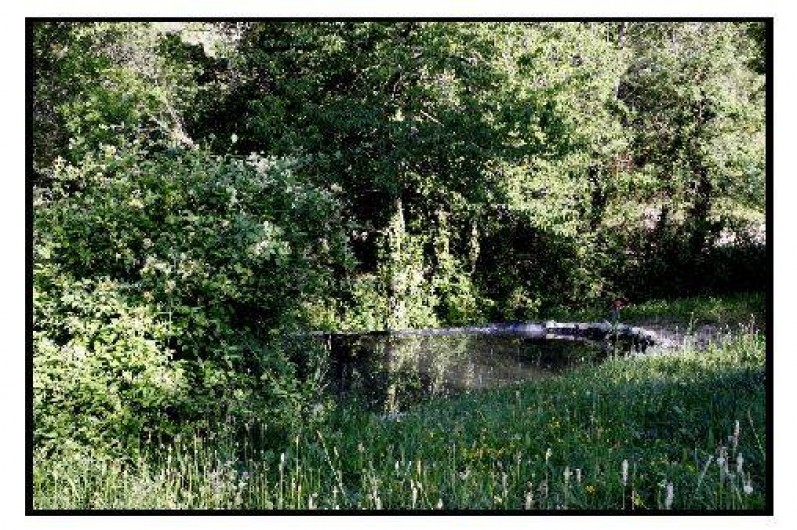 Location de vacances - Chalet à La Roche-sur-le-Buis