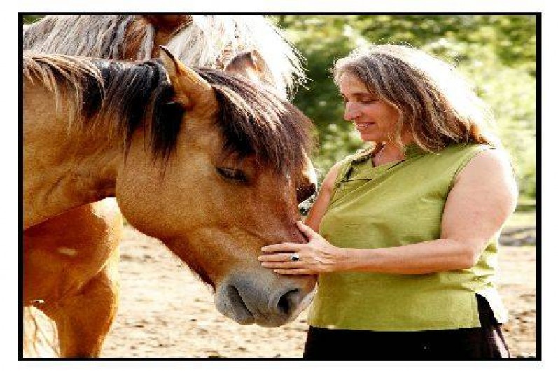 Location de vacances - Chalet à La Roche-sur-le-Buis