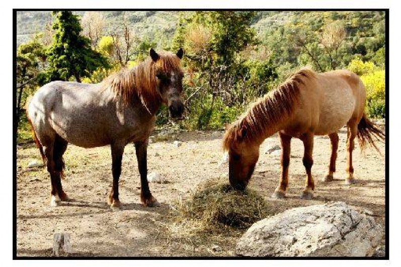 Location de vacances - Chalet à La Roche-sur-le-Buis